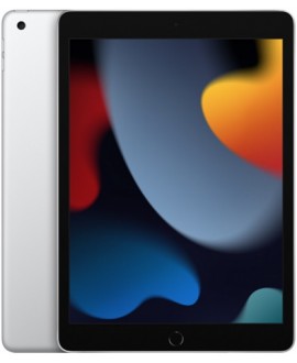 Apple iPad 9 (2021) Wi-Fi Cellular 256 Gb Silver - фото 1