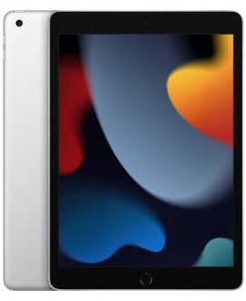 Apple iPad 9 (2021) Wi-Fi 256 Gb Silver - фото 1