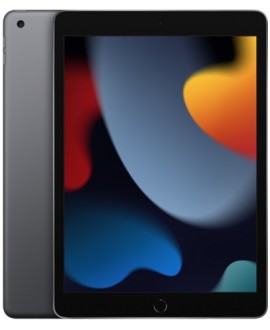 Apple iPad 9 (2021) Wi-Fi Cellular 256 Gb Space Gray - фото 1