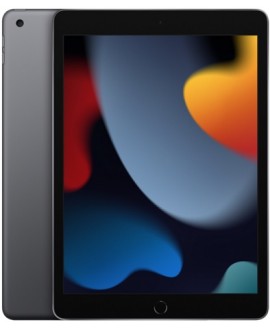 Apple iPad 9 (2021) Wi-Fi 256 Gb Space Gray - фото 1