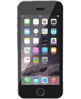 Apple iPhone 5s 64 Gb Space Gray - фото 1